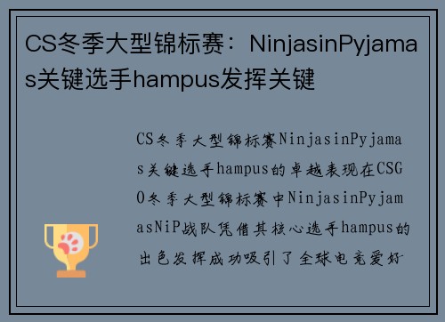 CS冬季大型锦标赛：NinjasinPyjamas关键选手hampus发挥关键